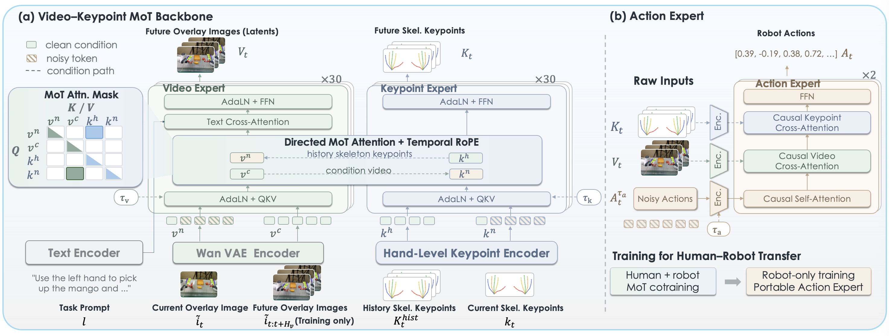 Skel-WAM architecture: Video–Keypoint Mixture-of-Transformers and robot-specific Action Expert.